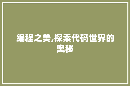 编程之美,探索代码世界的奥秘