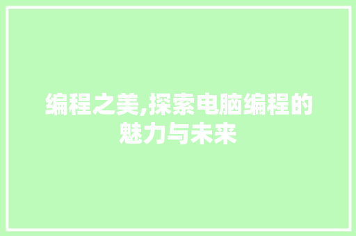 编程之美,探索电脑编程的魅力与未来