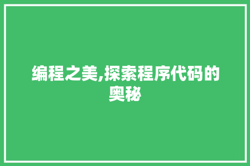 编程之美,探索程序代码的奥秘