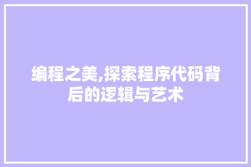 编程之美,探索程序代码背后的逻辑与艺术
