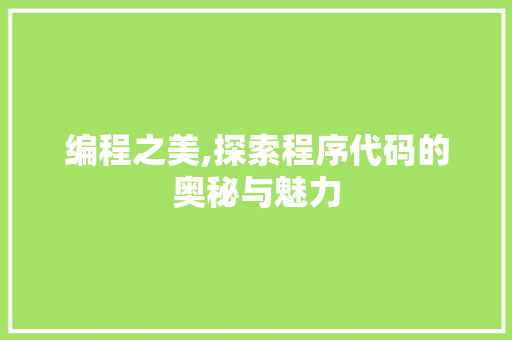 编程之美,探索程序代码的奥秘与魅力