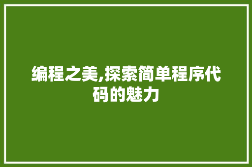 编程之美,探索简单程序代码的魅力