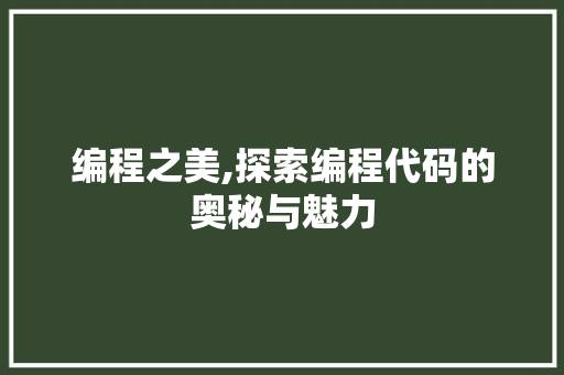 编程之美,探索编程代码的奥秘与魅力 编程之美,探索编程代码的奥秘与魅力 必应SEO