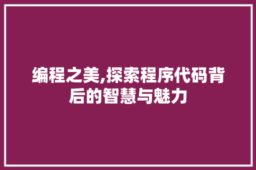 编程之美,探索程序代码背后的智慧与魅力