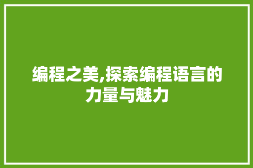 编程之美,探索编程语言的力量与魅力
