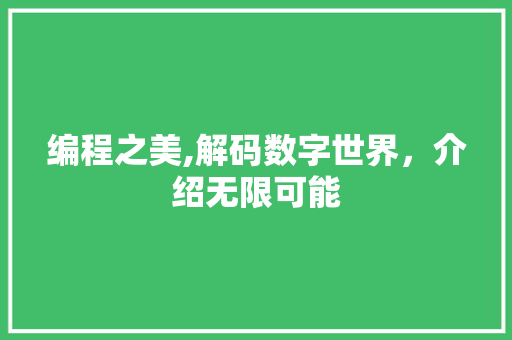 编程之美,解码数字世界，介绍无限可能