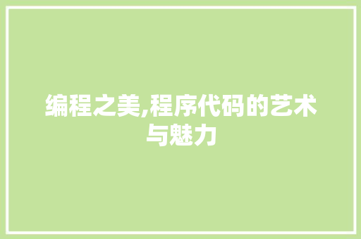 编程之美,程序代码的艺术与魅力 编程之美,程序代码的艺术与魅力 必应SEO