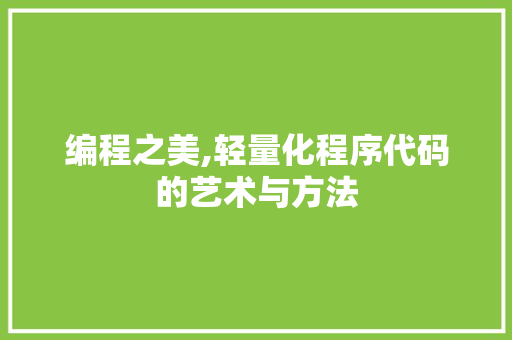 编程之美,轻量化程序代码的艺术与方法 编程之美,轻量化程序代码的艺术与方法 神马SEO