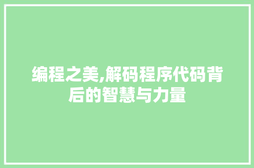 编程之美,解码程序代码背后的智慧与力量