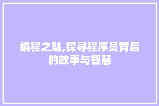 编程之魅,探寻程序员背后的故事与智慧