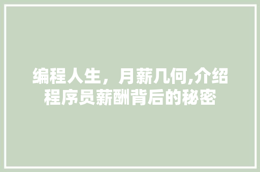 编程人生，月薪几何,介绍程序员薪酬背后的秘密