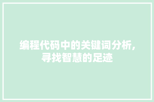 编程代码中的关键词分析,寻找智慧的足迹