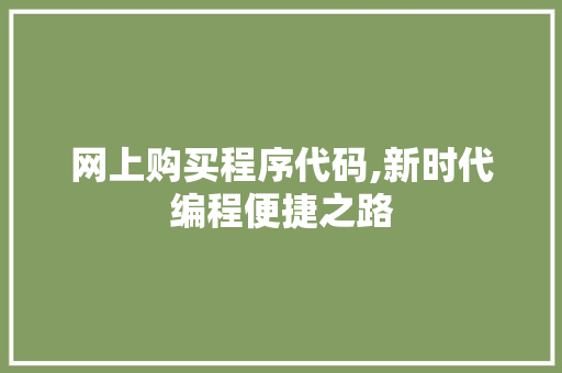网上购买程序代码,新时代编程便捷之路