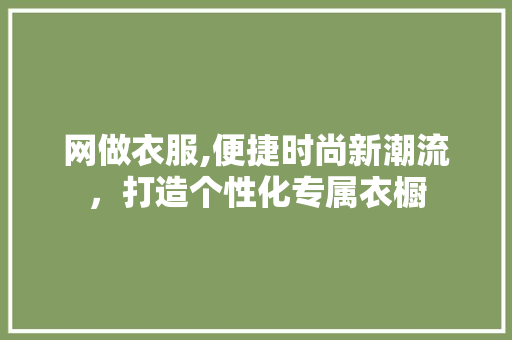 网做衣服,便捷时尚新潮流，打造个性化专属衣橱