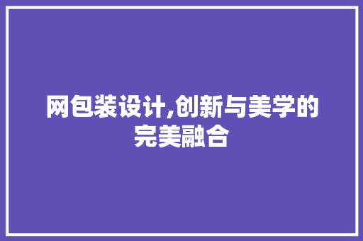 网包装设计,创新与美学的完美融合
