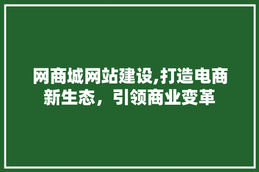 网商城网站建设,打造电商新生态，引领商业变革