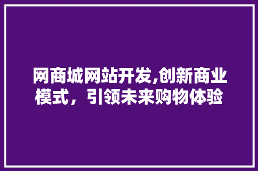 网商城网站开发,创新商业模式，引领未来购物体验