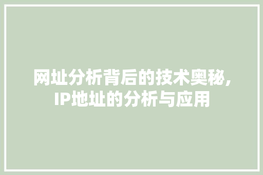 网址分析背后的技术奥秘,IP地址的分析与应用