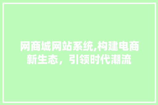 网商城网站系统,构建电商新生态，引领时代潮流