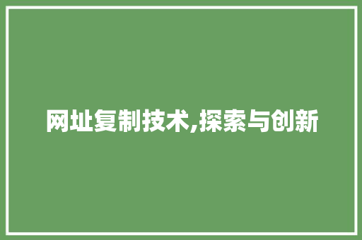 网址复制技术,探索与创新