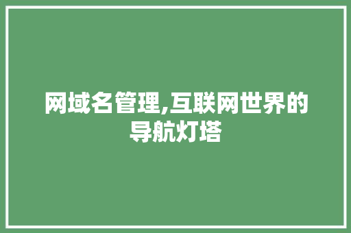 网域名管理,互联网世界的导航灯塔
