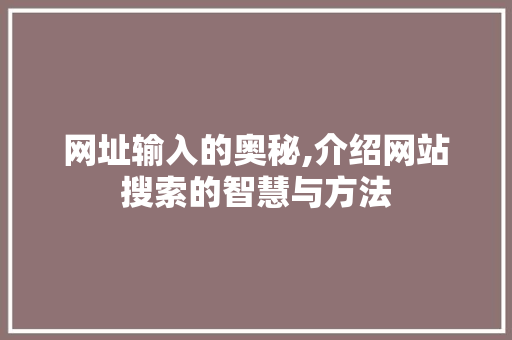 网址输入的奥秘,介绍网站搜索的智慧与方法
