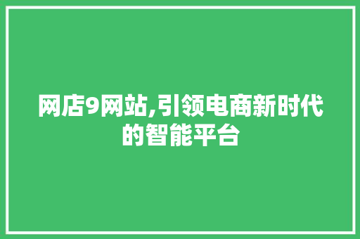 网店9网站,引领电商新时代的智能平台