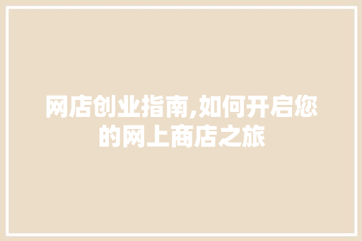 网店创业指南,如何开启您的网上商店之旅