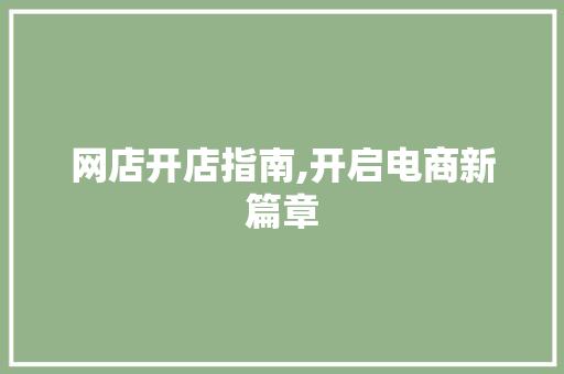 网店开店指南,开启电商新篇章
