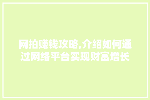 网拍赚钱攻略,介绍如何通过网络平台实现财富增长
