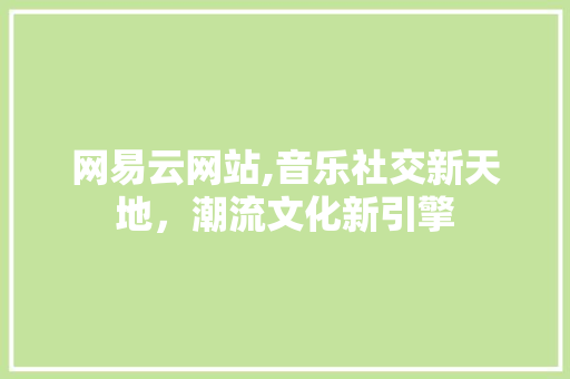 网易云网站,音乐社交新天地，潮流文化新引擎 网易云网站,音乐社交新天地，潮流文化新引擎 百度SEO