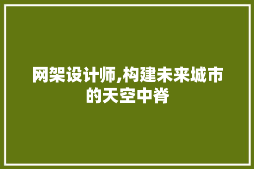 网架设计师,构建未来城市的天空中脊