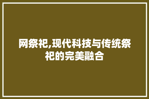 网祭祀,现代科技与传统祭祀的完美融合