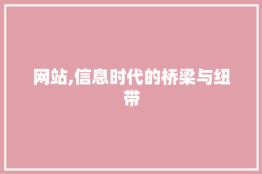 网站,信息时代的桥梁与纽带