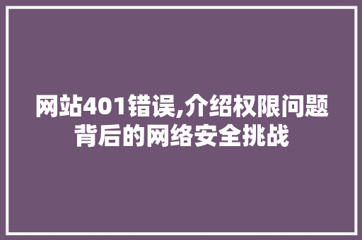 网站401错误,介绍权限问题背后的网络安全挑战