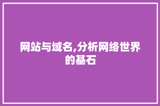 网站与域名,分析网络世界的基石