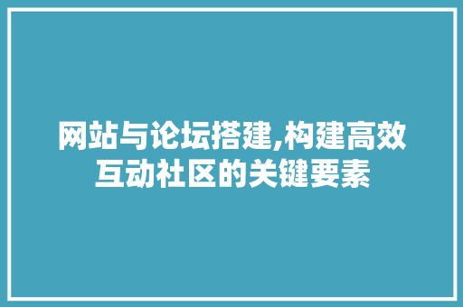 网站与论坛搭建,构建高效互动社区的关键要素