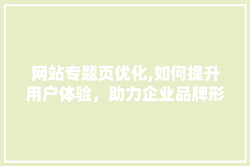 网站专题页优化,如何提升用户体验，助力企业品牌形象