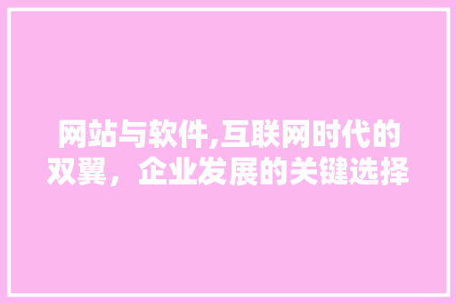 网站与软件,互联网时代的双翼，企业发展的关键选择