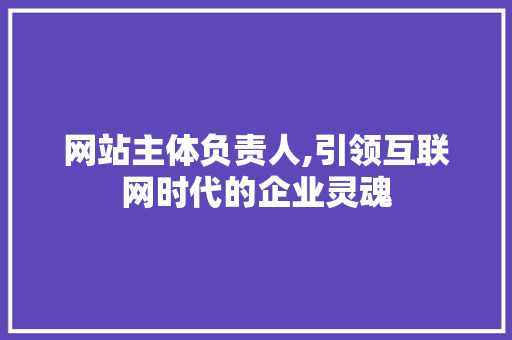 网站主体负责人,引领互联网时代的企业灵魂