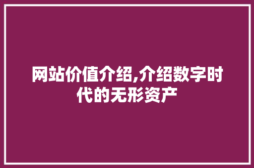 网站价值介绍,介绍数字时代的无形资产