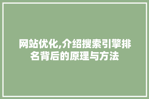 网站优化,介绍搜索引擎排名背后的原理与方法