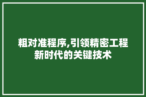 粗对准程序,引领精密工程新时代的关键技术
