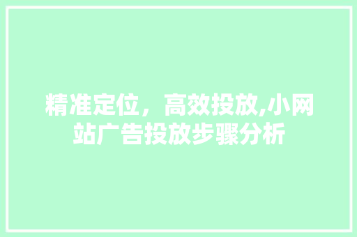 精准定位，高效投放,小网站广告投放步骤分析