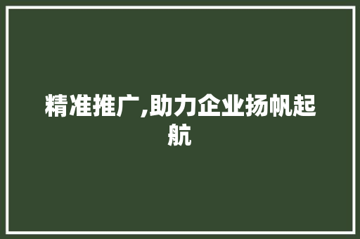 精准推广,助力企业扬帆起航
