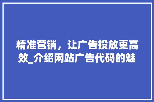 精准营销，让广告投放更高效_介绍网站广告代码的魅力