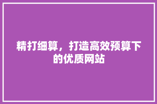 精打细算，打造高效预算下的优质网站