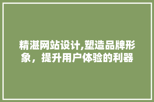 精湛网站设计,塑造品牌形象，提升用户体验的利器