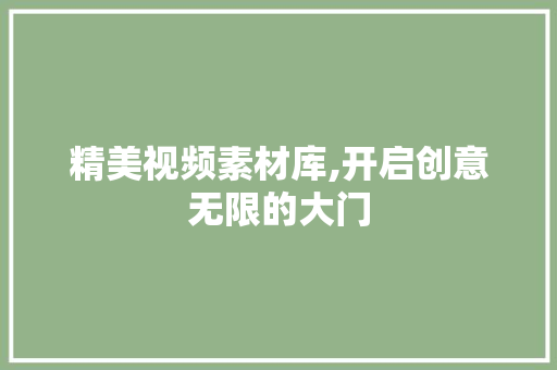 精美视频素材库,开启创意无限的大门