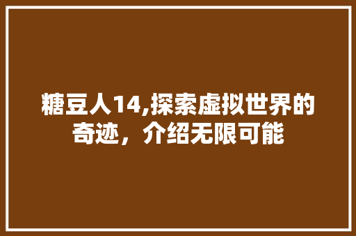 糖豆人14,探索虚拟世界的奇迹，介绍无限可能